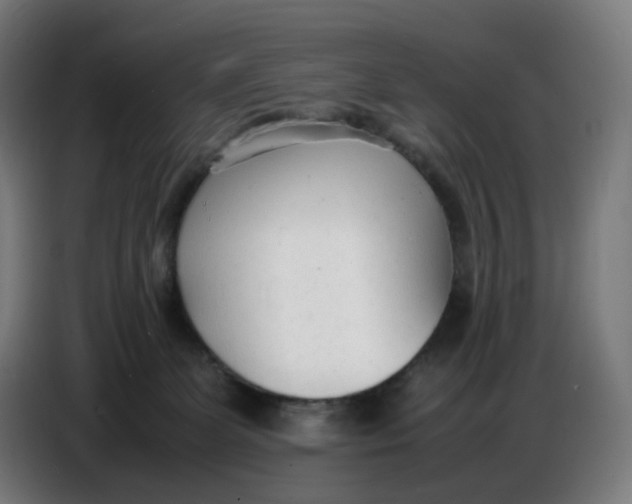 X0000086720131200705041335