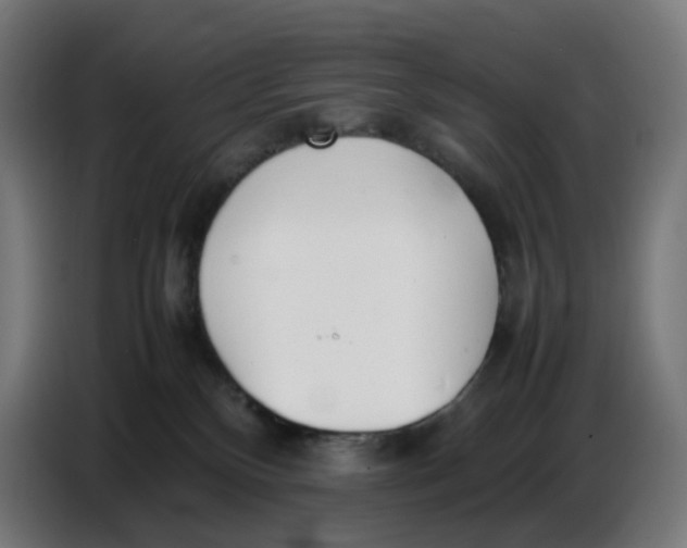 X0000086720136200705041335