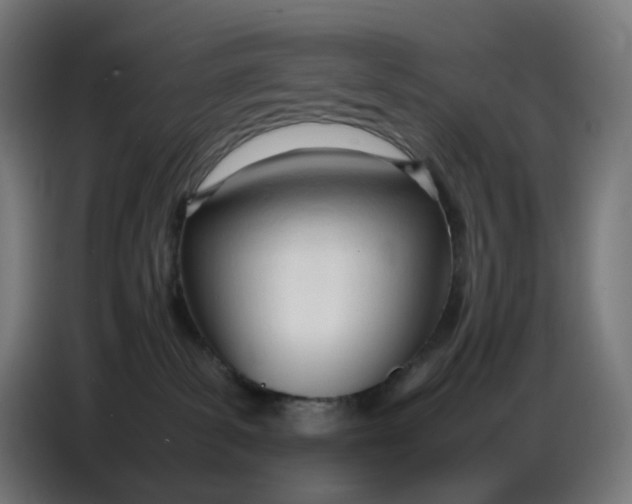 X0000086720139200705041335