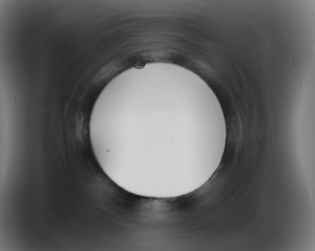 X0000086720140200705041335