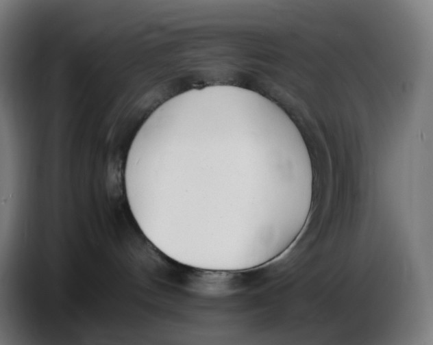 X0000086720144200705041335