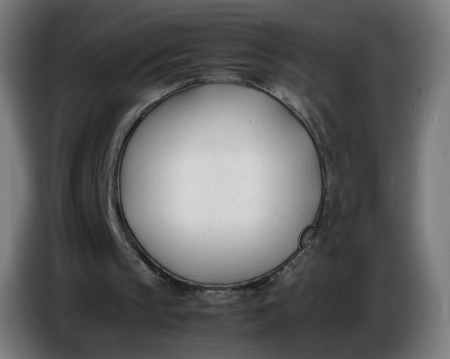 X0000086720145200705041334