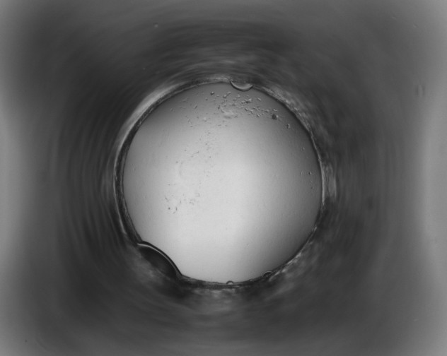 X0000086720147200705041334
