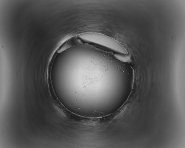 X0000086720148200705041334
