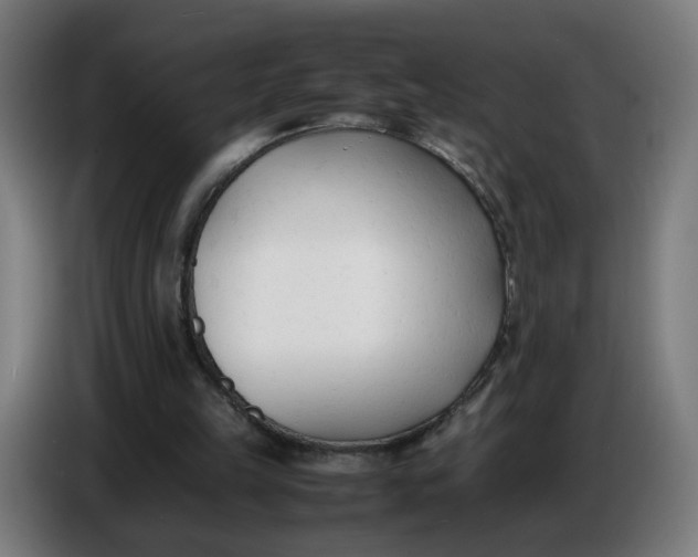 X0000086720149200705041334