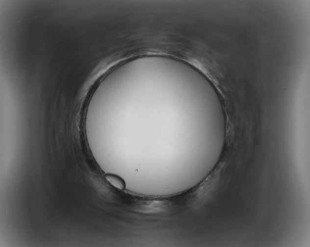 X0000086720151200705041334