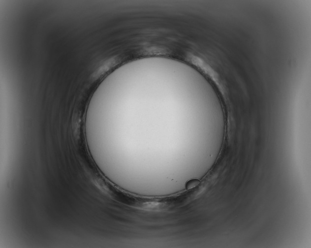 X0000086720153200705041334