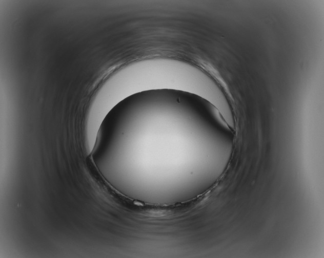 X0000086720154200705041334