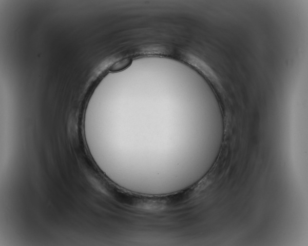 X0000086720155200705041334