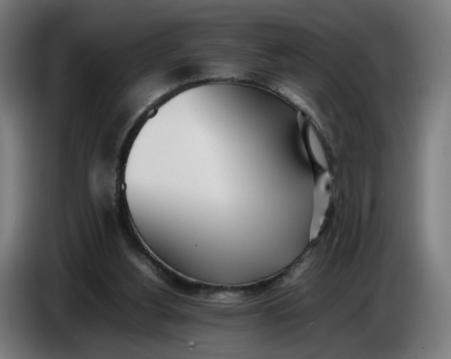 X0000086720156200705041334