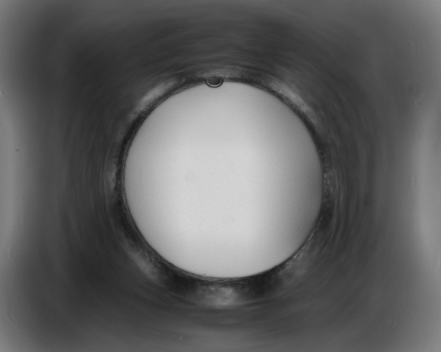 X0000086720159200705041334