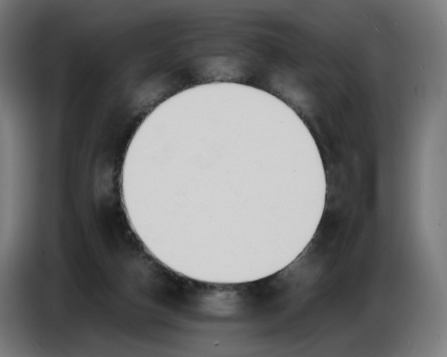 X0000086720162200705041334