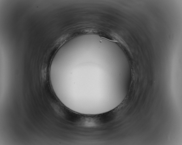X0000086720163200705041335