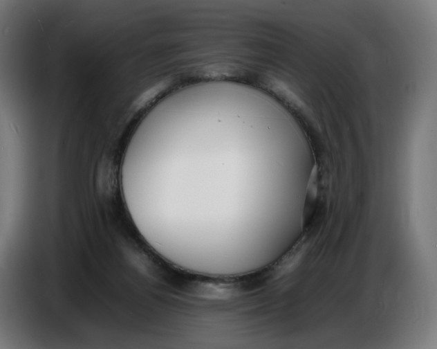 X0000086720164200705041335