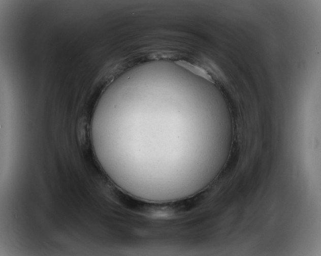 X0000086720169200705041335