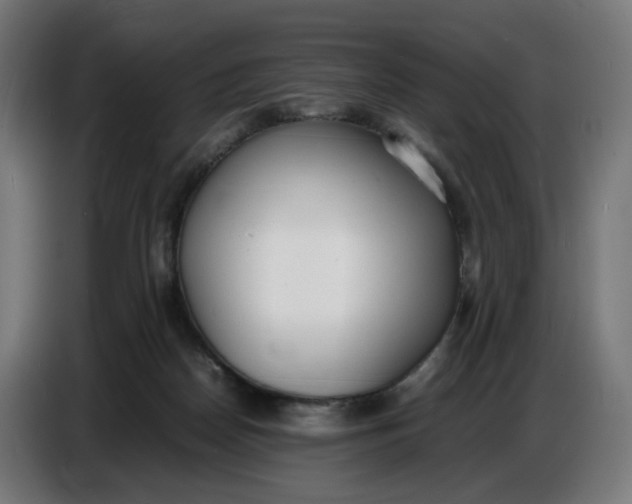 X0000086720170200705041335