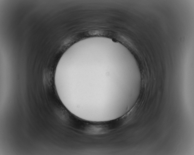 X0000086720171200705041335