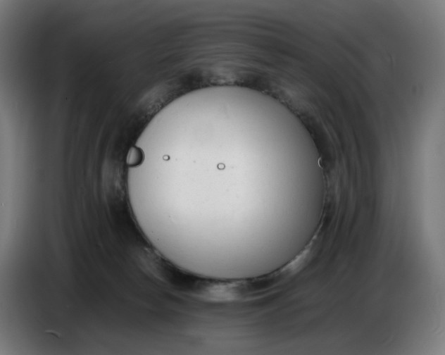 X0000086720178200705041335