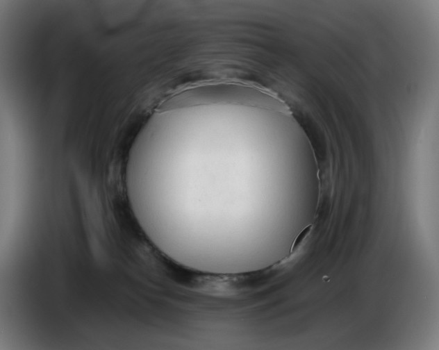 X0000086720182200705041335