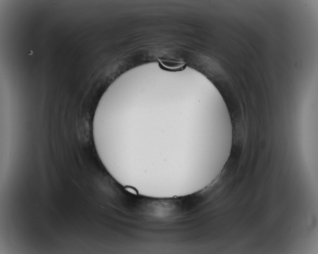 X0000086720183200705041335