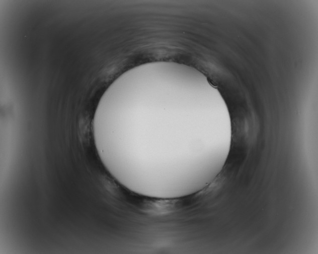 X0000086720184200705041335