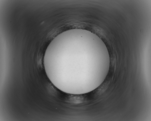 X0000086720185200705041335