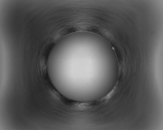 X0000086720186200705041335