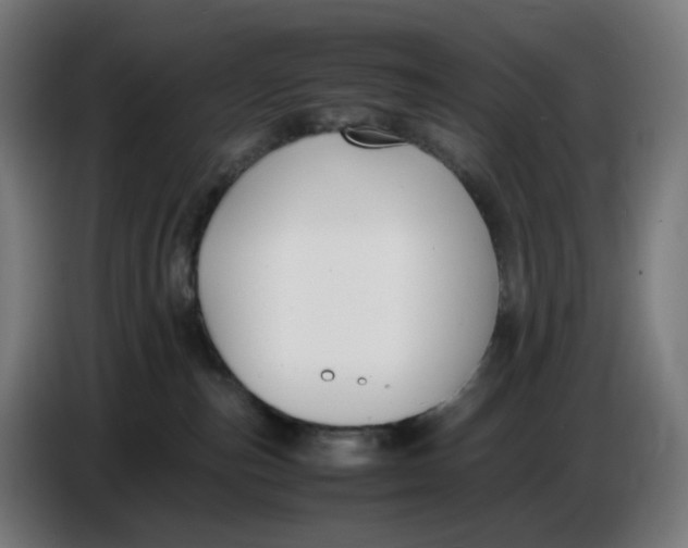 X0000086720187200705041335