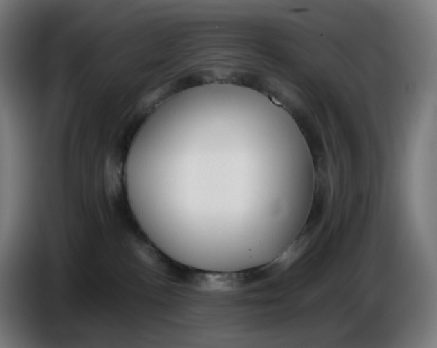 X0000086720188200705041335