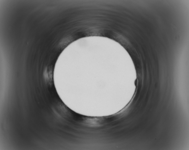 X0000086720190200705041335