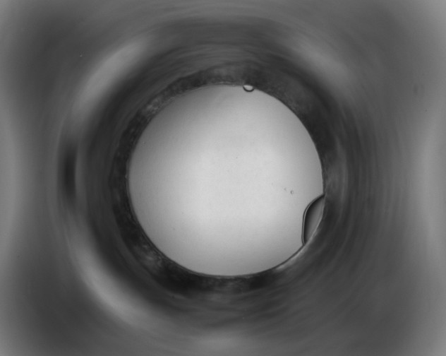 X0000086720191200705041335