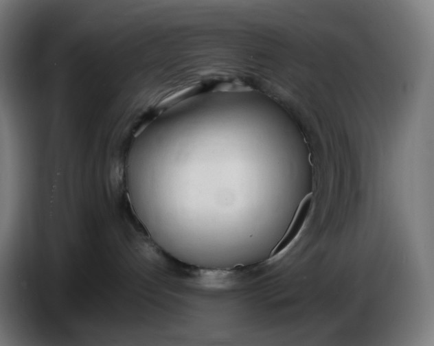 X0000086720192200705041335