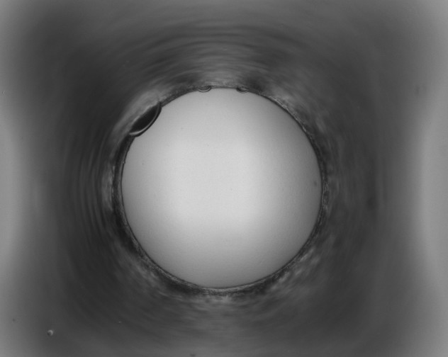 X0000086720194200705041334