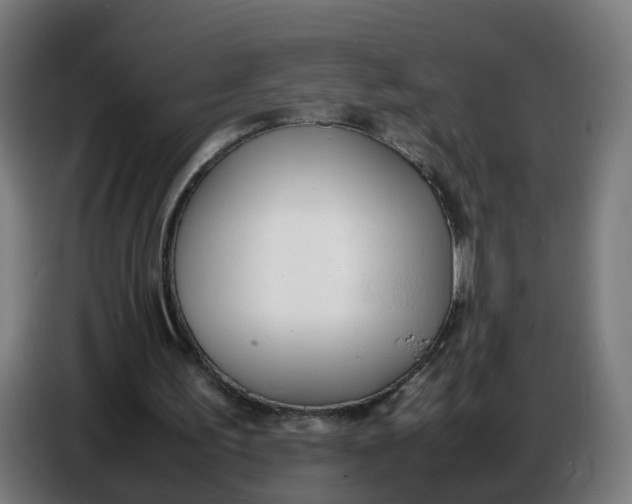X0000086720195200705041334