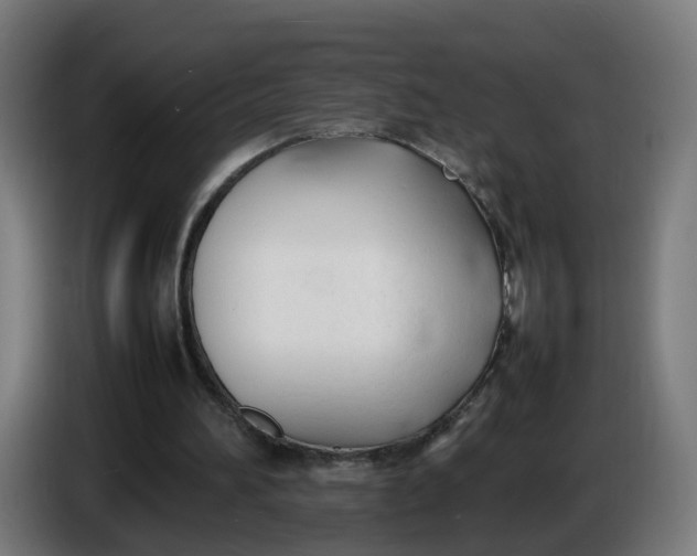X0000086720196200705041334