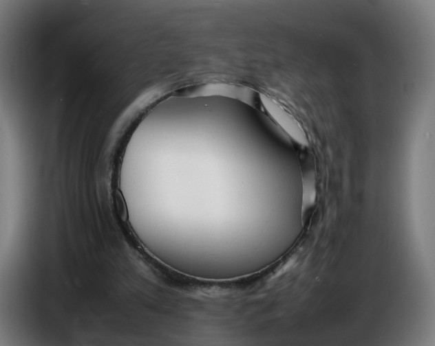 X0000086720197200705041334