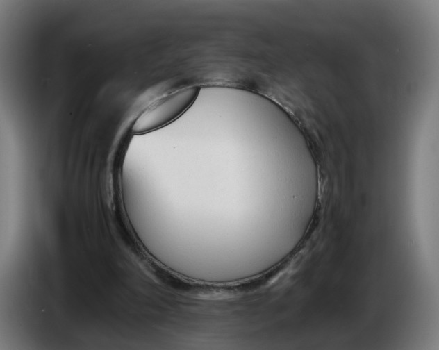 X0000086720198200705041334