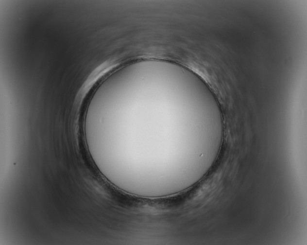 X0000086720199200705041334