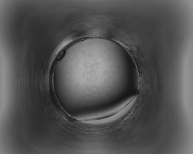 X0000086720200200705041334