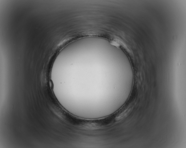 X0000086720203200705041334
