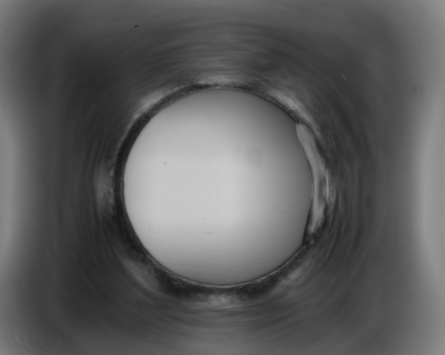 X0000086720204200705041334