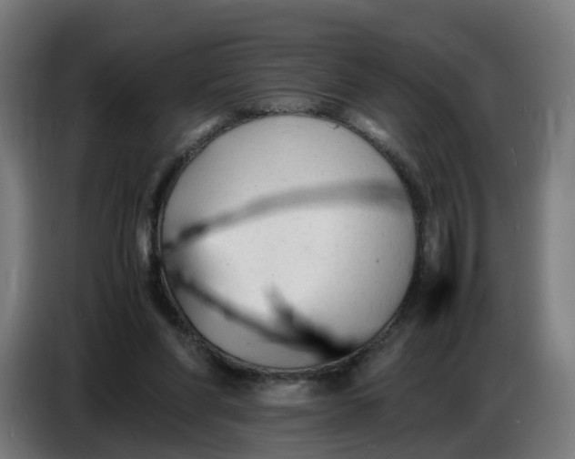 X0000086720206200705041334