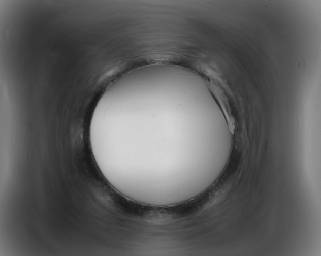 X0000086720207200705041334