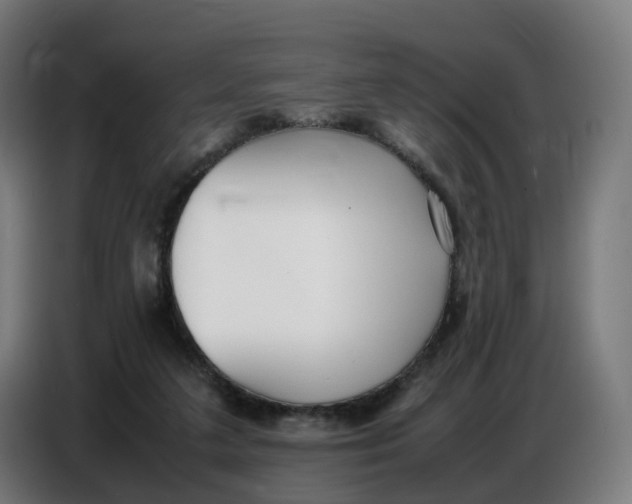 X0000086720211200705041334
