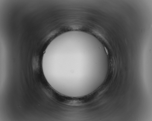 X0000086720212200705041334