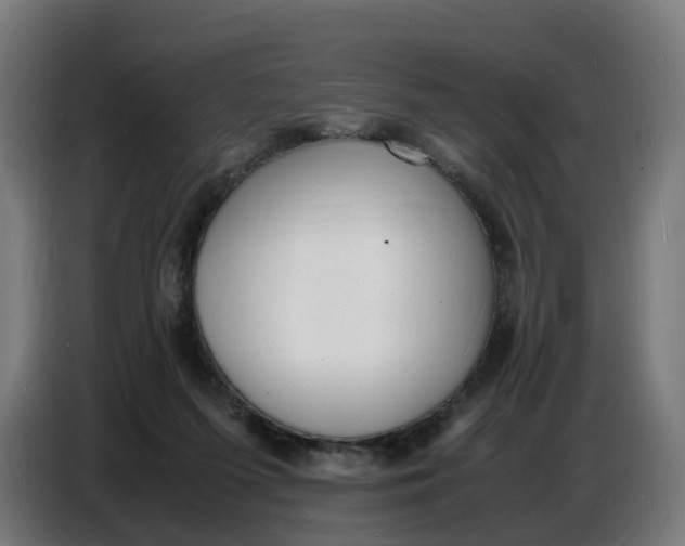 X0000086720215200705041334