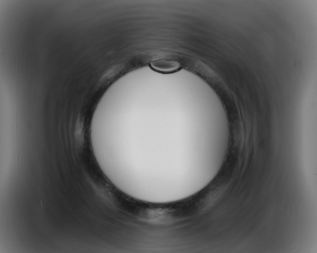 X0000086720216200705041334