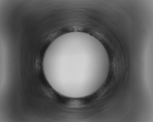 X0000086720218200705041334