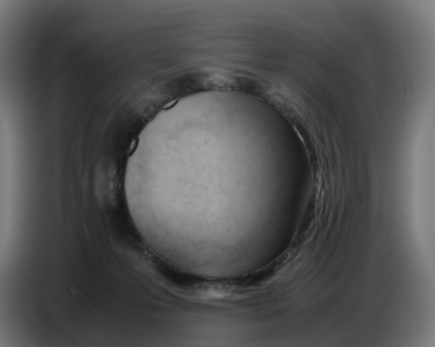 X0000086720223200705041334