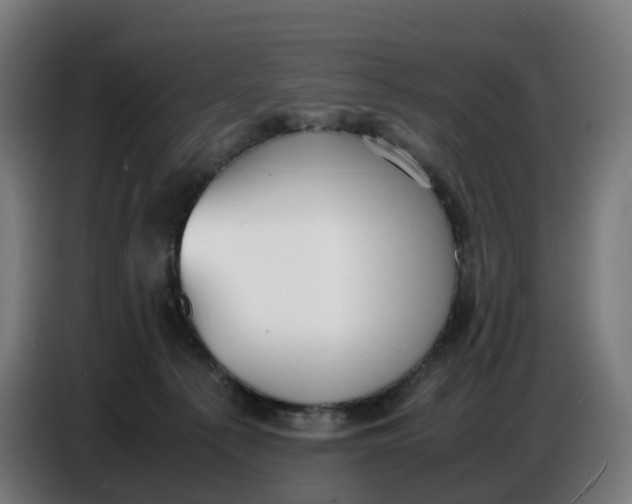 X0000086720225200705041334